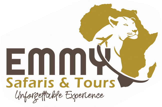 Emmy safari logo